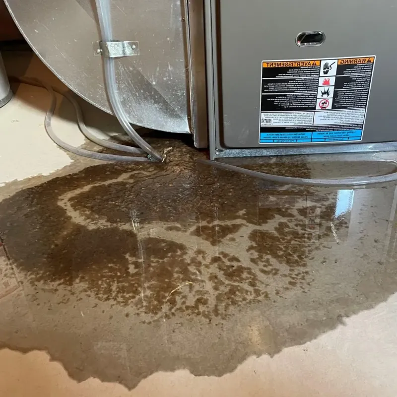 Pipe Burst and Leak Restoration in Hurricane, WV