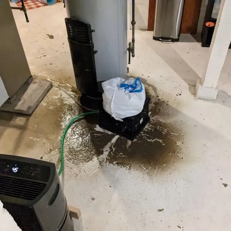 Sewage Backup Cleanup Service in Hurricane, WV